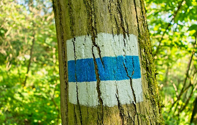 csikiphoto/Shutterstock