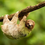 Wondry/Shutterstock