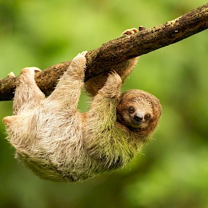 Wondry/Shutterstock