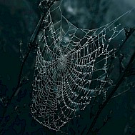 Wyxina Tresse/Unsplash