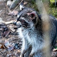 Christopher J Barger/Shutterstock