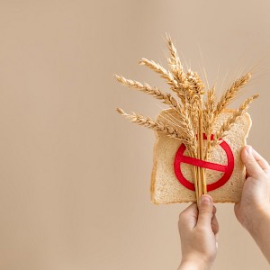 Galigrafiya/Shutterstock