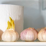 Fo_De/Shutterstock