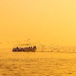 AbhishekMittal/Shutterstock