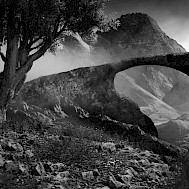 Mikael Damkier/Shutterstock