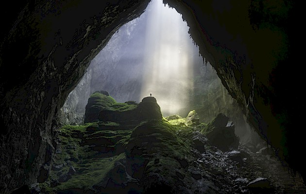 David A Knight/Shutterstock