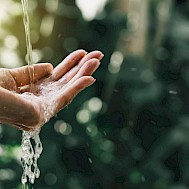 MintraTH/Shutterstock.com