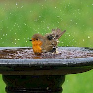Gillian Pullinger/Shutterstock