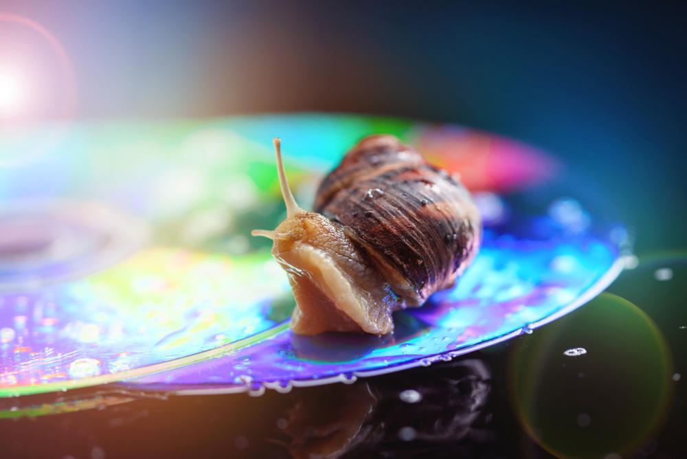 EugeniaSh/Shutterstock