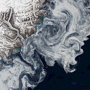 Wikimedia Commons