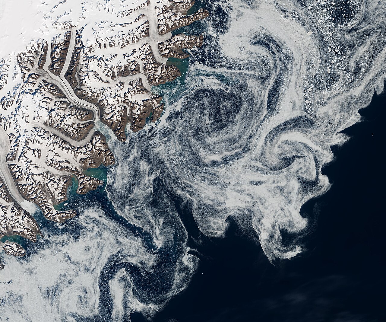 Wikimedia Commons