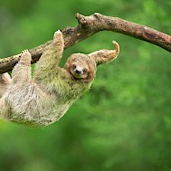 Milan Zygmunt/Shutterstock