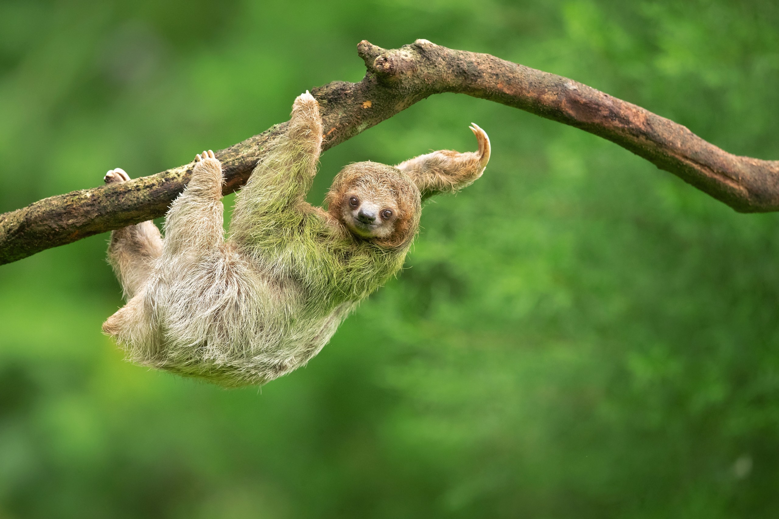 Milan Zygmunt/Shutterstock