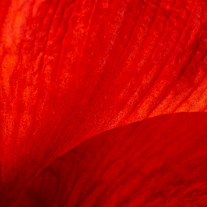 Wolfgang Hasselmann / Unsplash