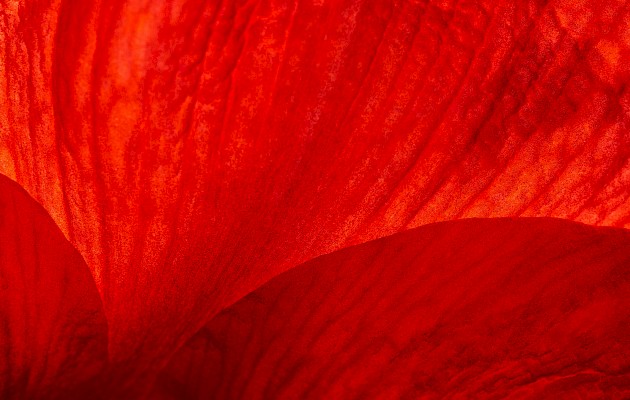 Wolfgang Hasselmann / Unsplash