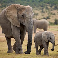 Robert Harding Video/Shutterstock