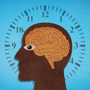 ArtemisDiana/Shutterstock