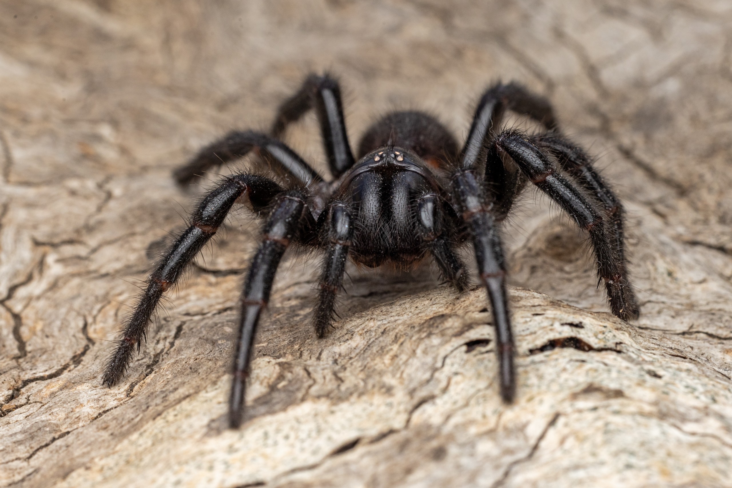 Ken Griffiths/Shutterstock