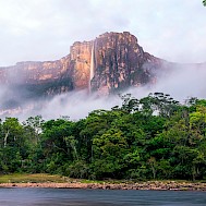 Luiz Antonio Nasser Jr/Shutterstock
