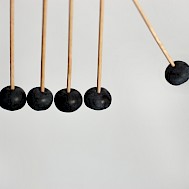 Olivia Bull Photography/Shutterstock