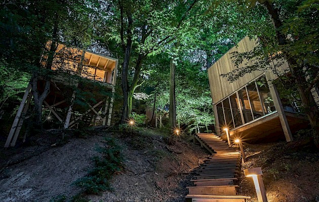 Treehouses Noszvaj