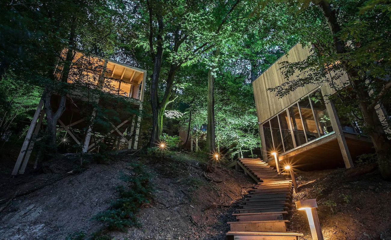 Treehouses Noszvaj