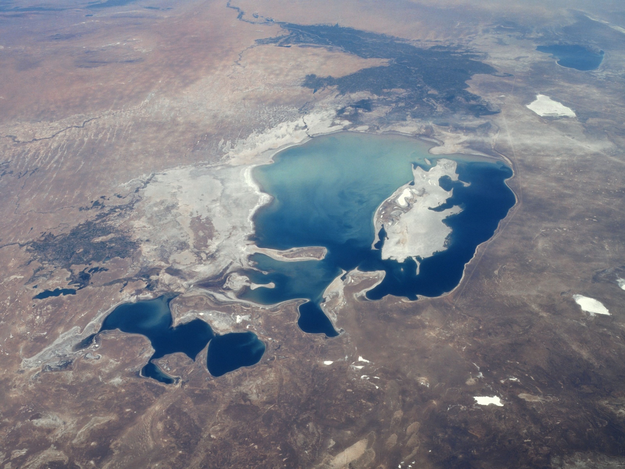 Wikimedia Commons