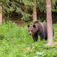 Svitlana Tkach/Shutterstock