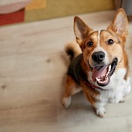 SeventyFour/Shutterstock
