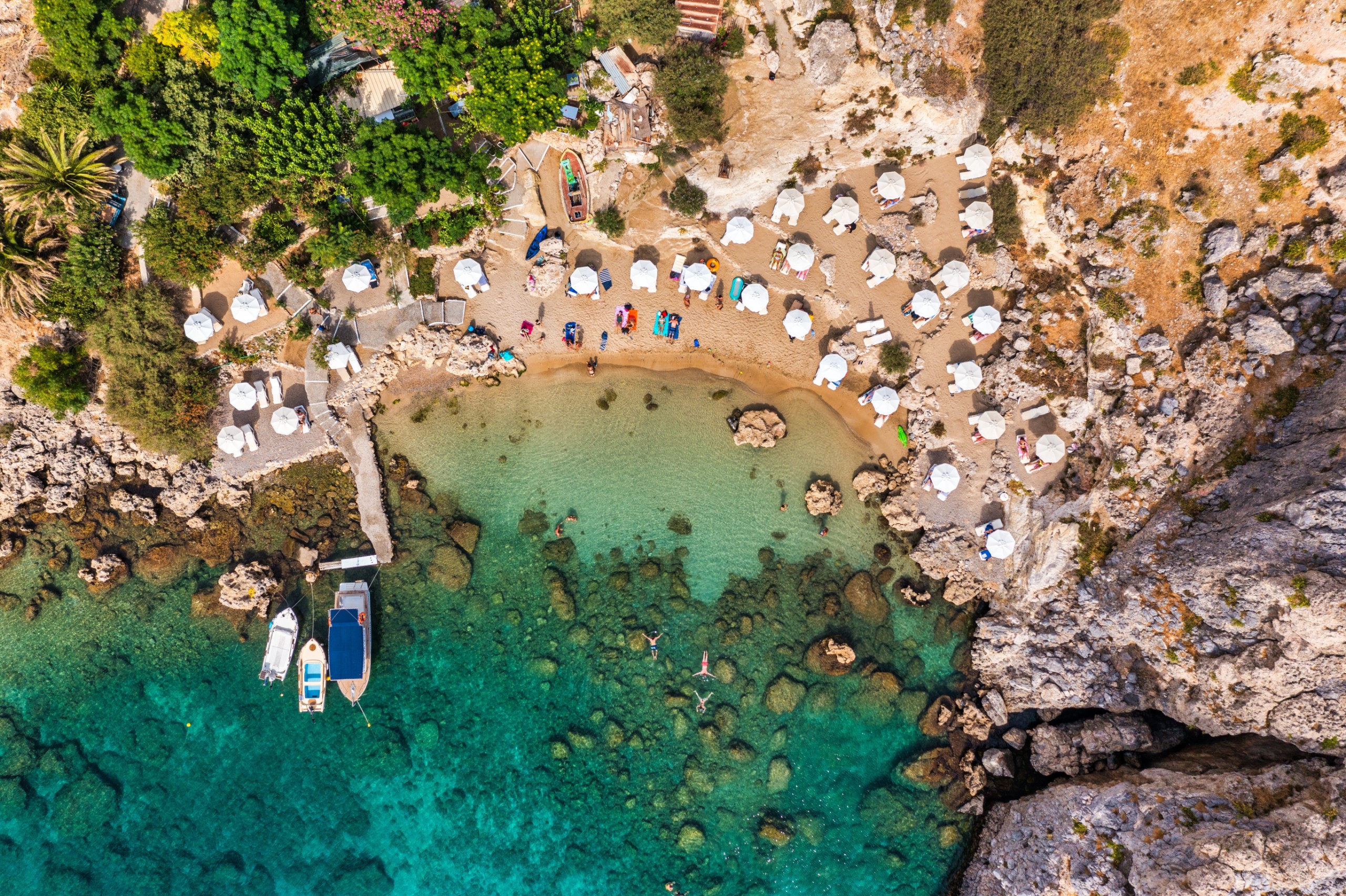 DaLiu/Shutterstock
