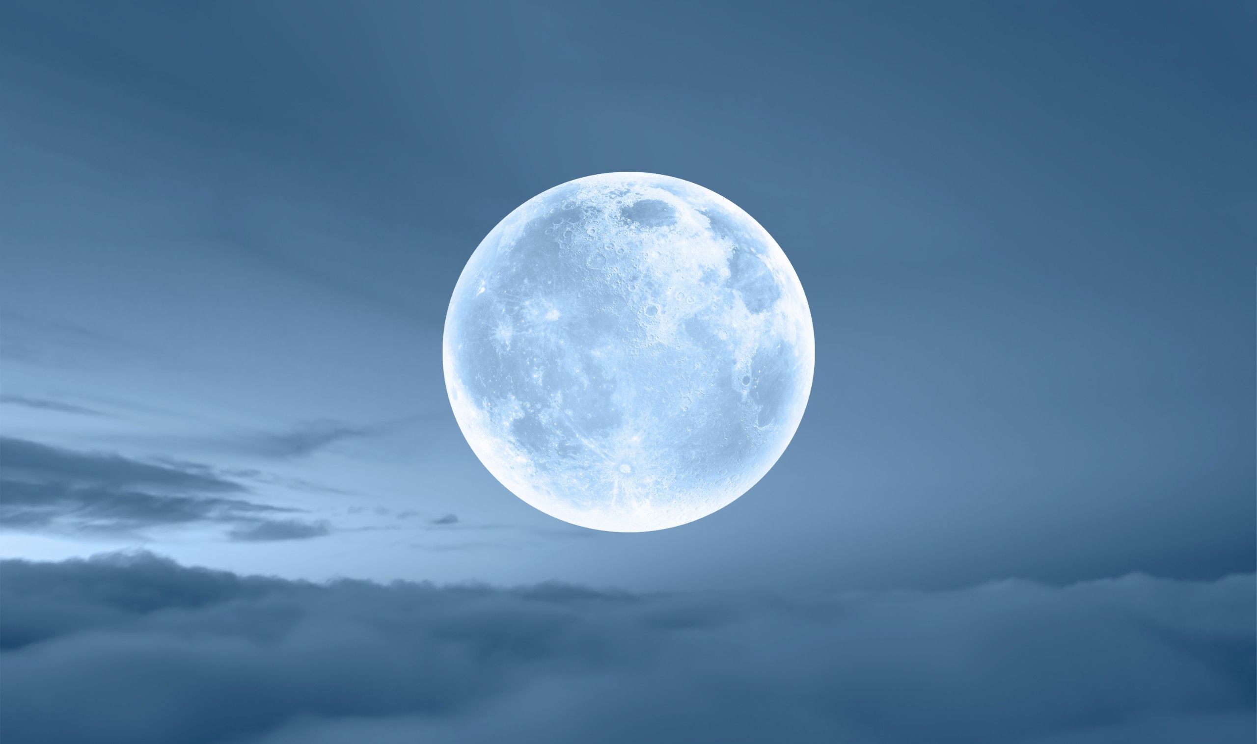 muratart/Shutterstock
