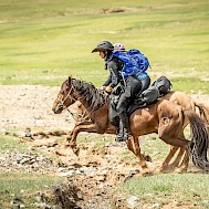 Mongol Derby