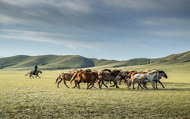 Mongol Derby