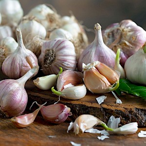 Zadorozhnyi Viktor/Shutterstock