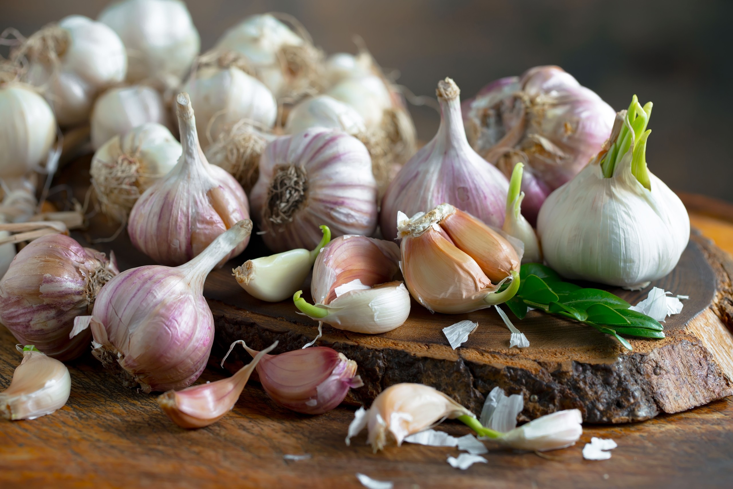 Zadorozhnyi Viktor/Shutterstock