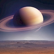 Dima Zel/Shutterstock