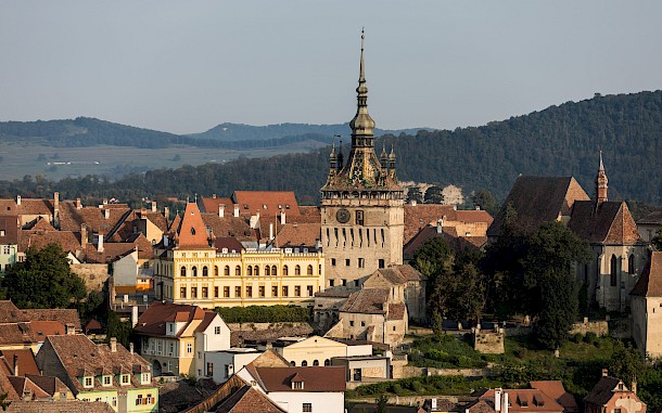 Martchan/Shutterstock