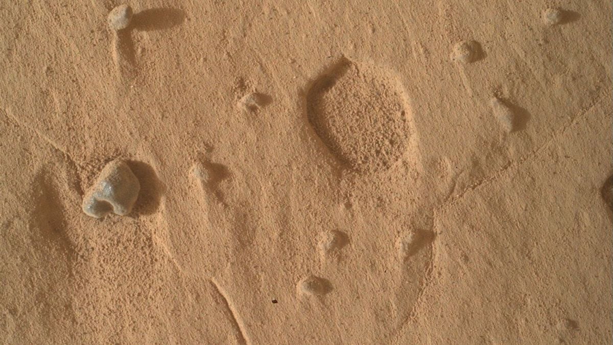NASA/JPL-Caltech/MSSS