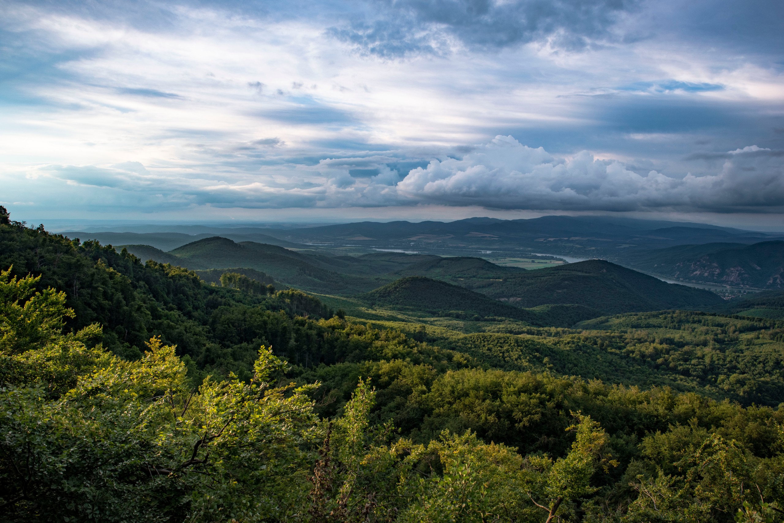 biroedina/Shutterstock