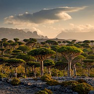 Pawel Uchorczak/Shutterstock