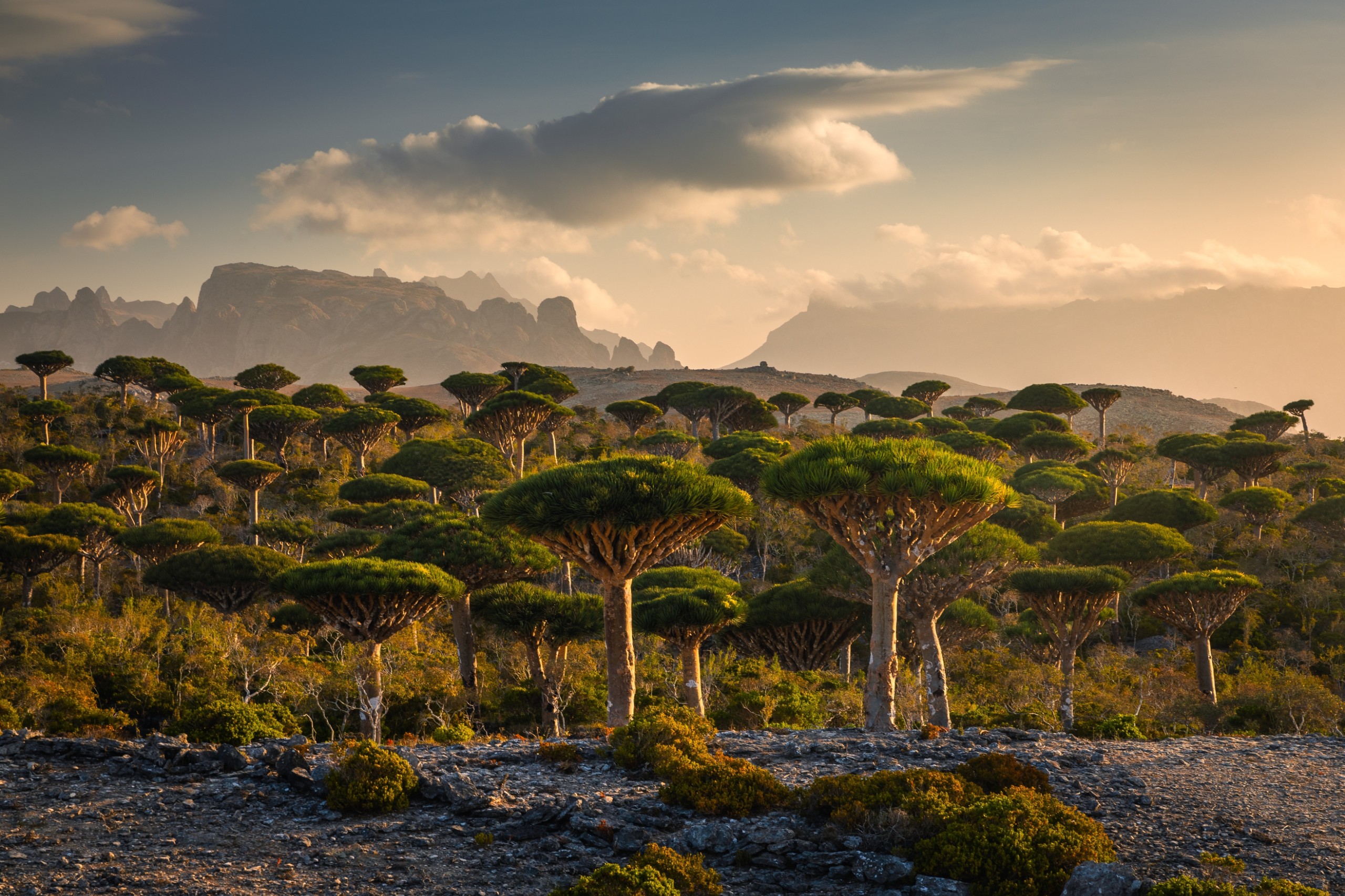 Pawel Uchorczak/Shutterstock