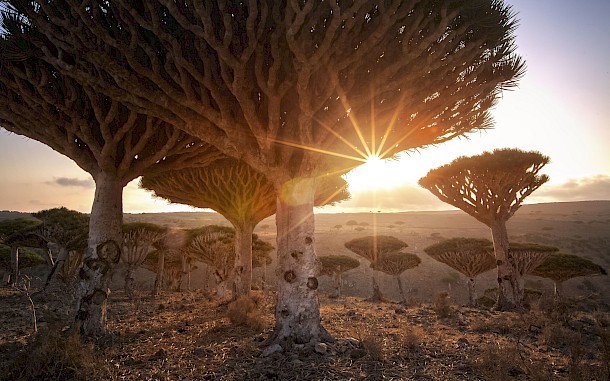 Michail_Vorobyev/Shutterstock