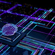 Digital-stock/Shutterstock
