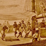 Wikimedia Commons