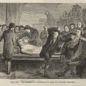 Wikimedia Commons