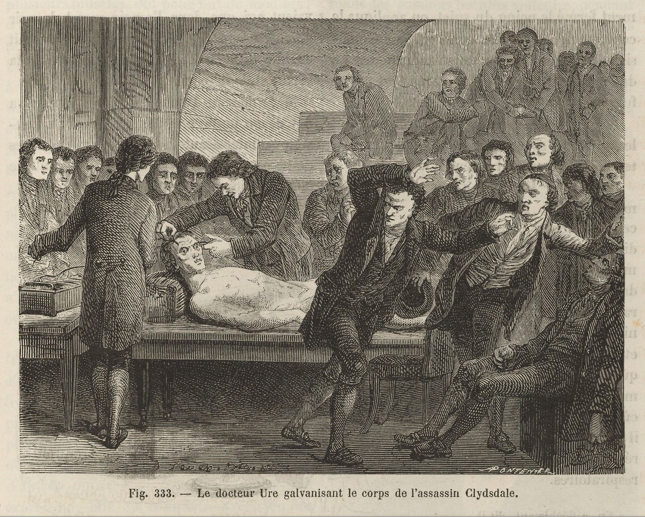 Wikimedia Commons