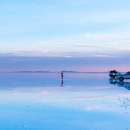 T.Vyc/Shutterstock