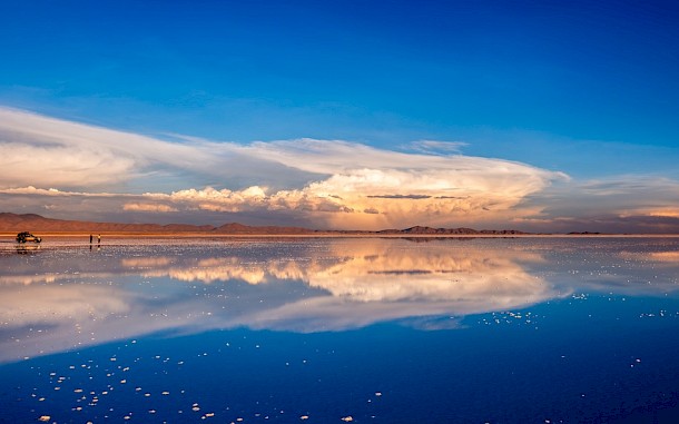 T.Vyc/Shutterstock