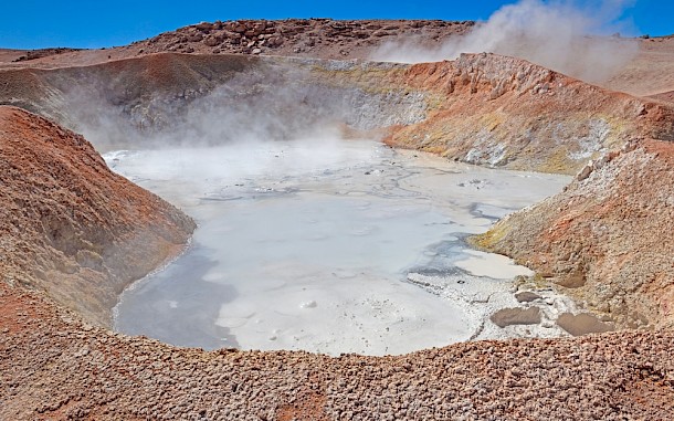 Wildnerdpix/Shutterstock