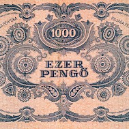 Zysko Sergii/Shutterstock